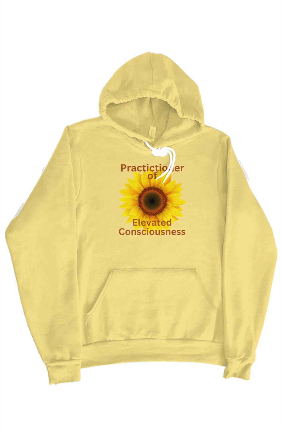 Elevated Consciousness Hoodie