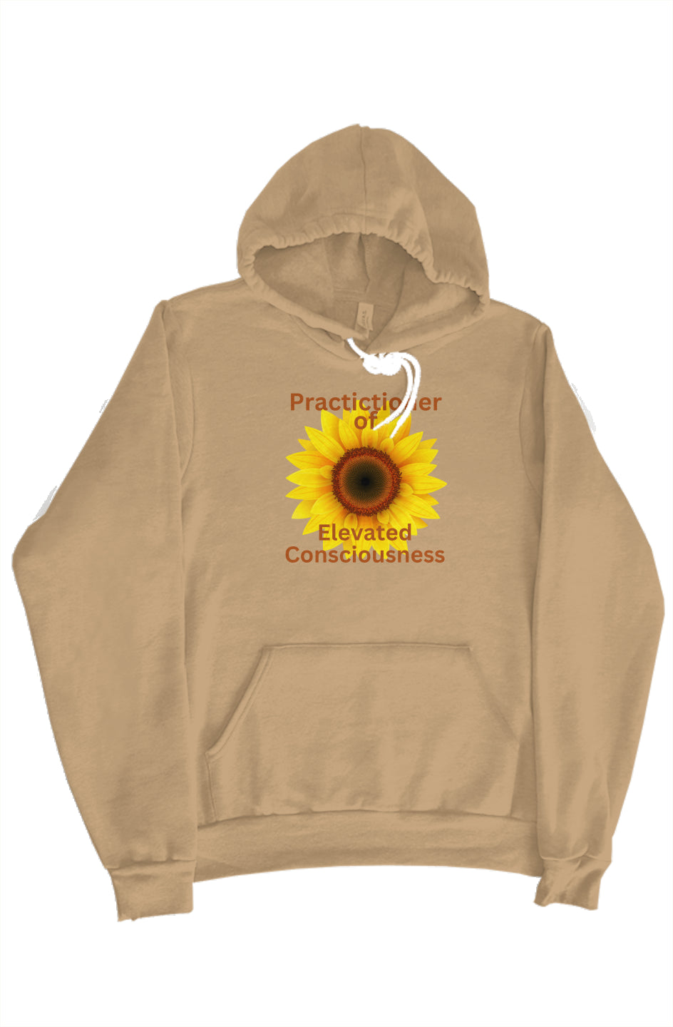 Elevated Consciousness Hoodie