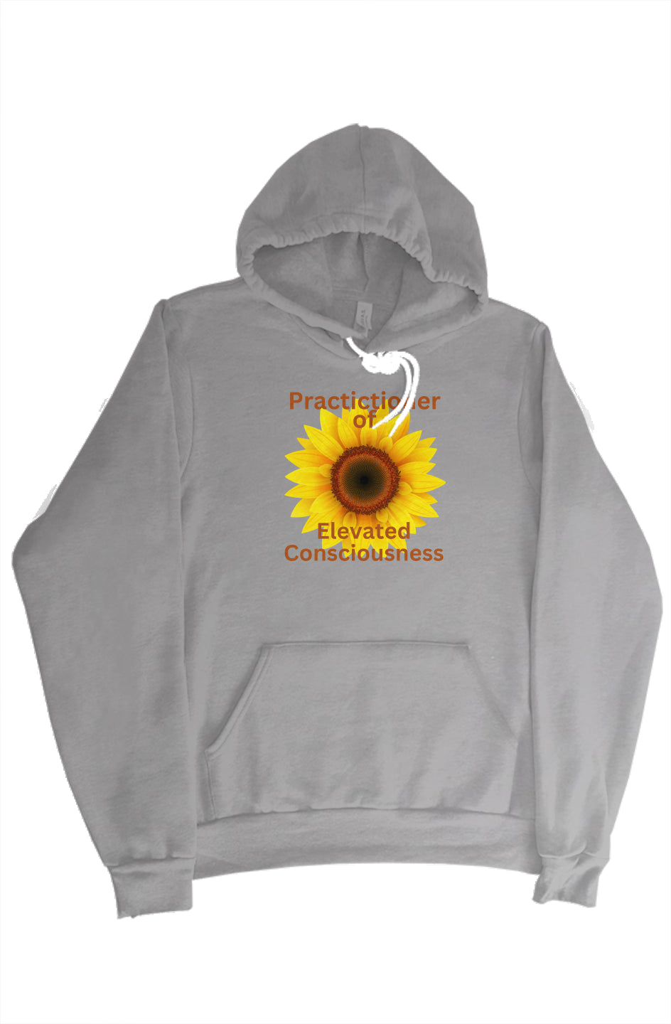 Elevated Consciousness Hoodie