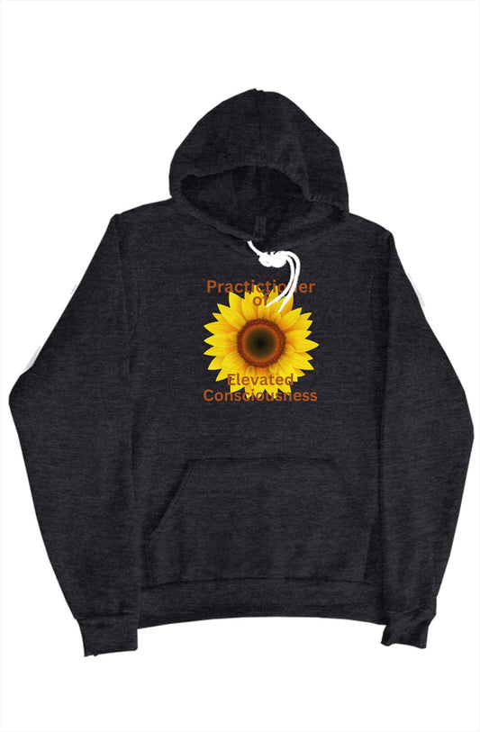 Elevated Consciousness Hoodie